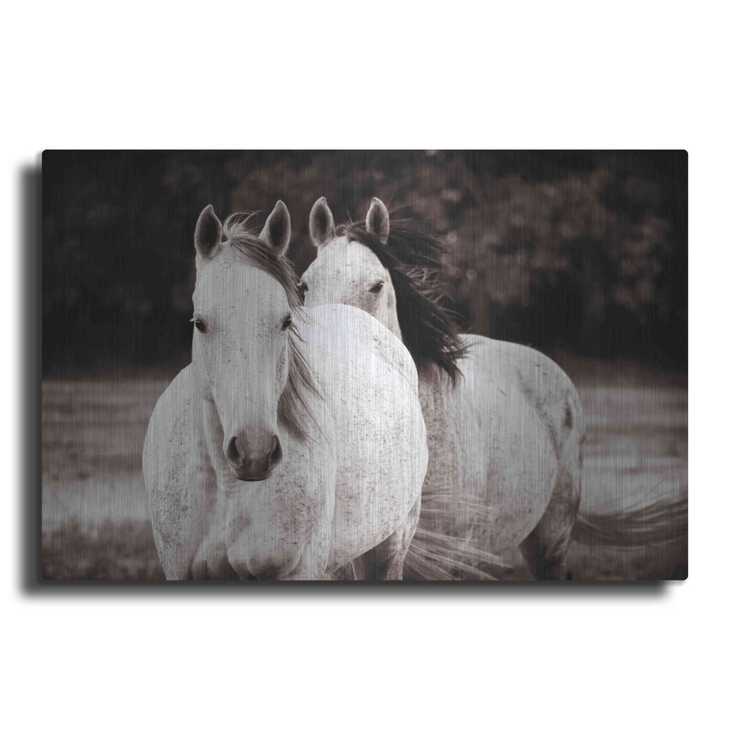 'Two Wild Horses Sepia' by Debra Van Swearingen – Metal Wall Art