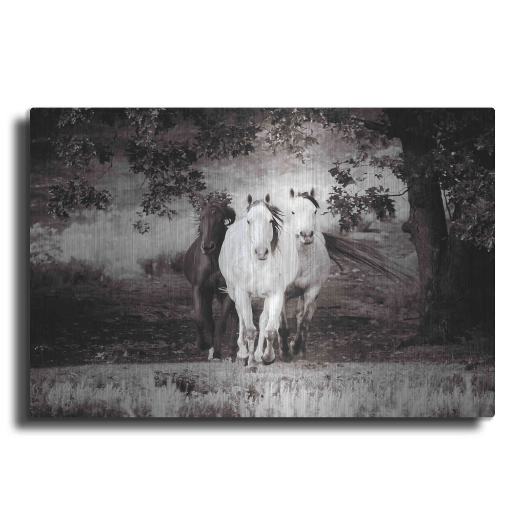 'Three Wild Horses Sepia' by Debra Van Swearingen – Metal Wall Art