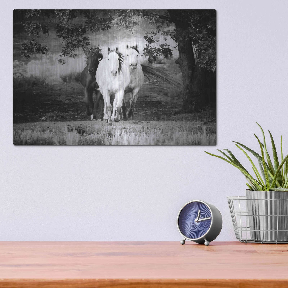 'Three Wild Horses BW' by Debra Van Swearingen – Metal Wall Art, 16x12 room view