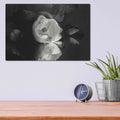 'Magnolia and Driftwood I' by Debra Van Swearingen – Metal Wall Art, 16x12 room view