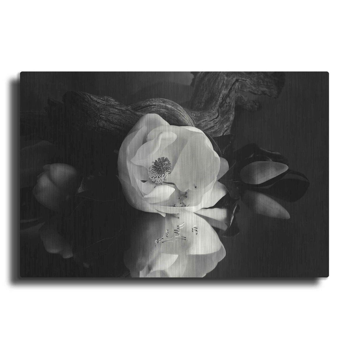 'Magnolia and Driftwood I' by Debra Van Swearingen – Metal Wall Art