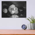 'Magnolia in Bloom' by Debra Van Swearingen – Metal Wall Art, 16x12 room view