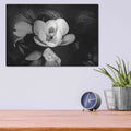 'Magnolia and Driftwood II' by Debra Van Swearingen – Metal Wall Art, 16x12 room view