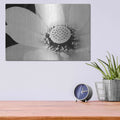'Lotus Flower IV' by Debra Van Swearingen – Metal Wall Art, 16x12 room view