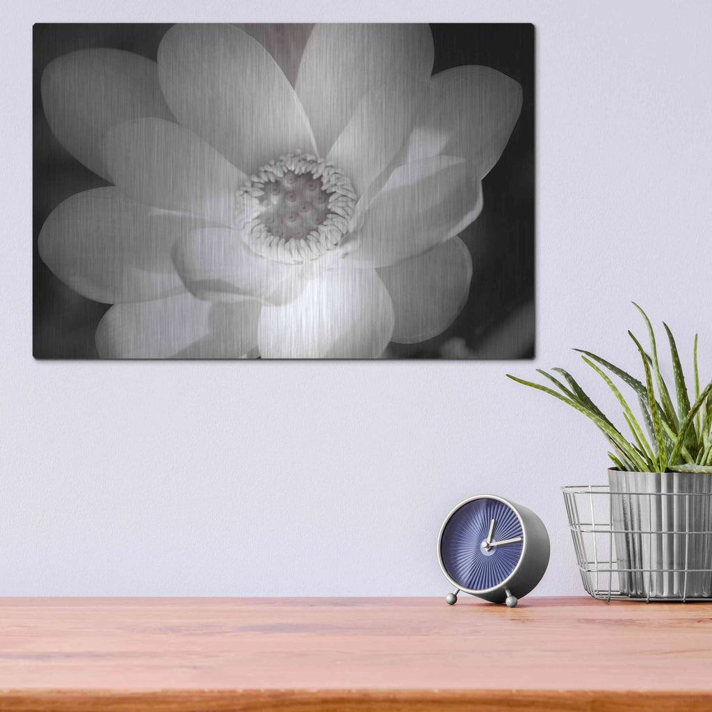 'Lotus Flower V' by Debra Van Swearingen – Metal Wall Art, 16x12 room view