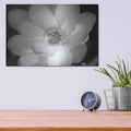 'Lotus Flower V' by Debra Van Swearingen – Metal Wall Art, 16x12 room view