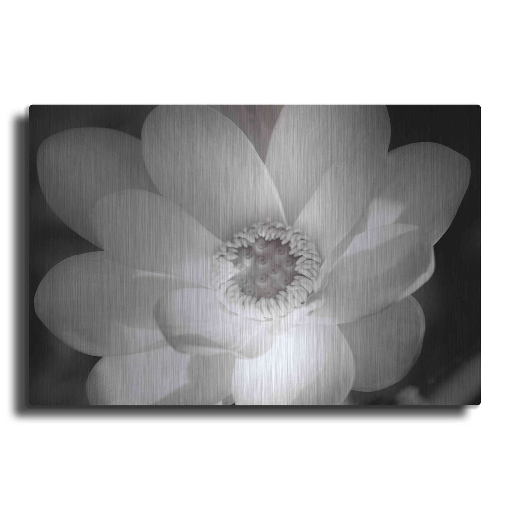 'Lotus Flower V' by Debra Van Swearingen – Metal Wall Art
