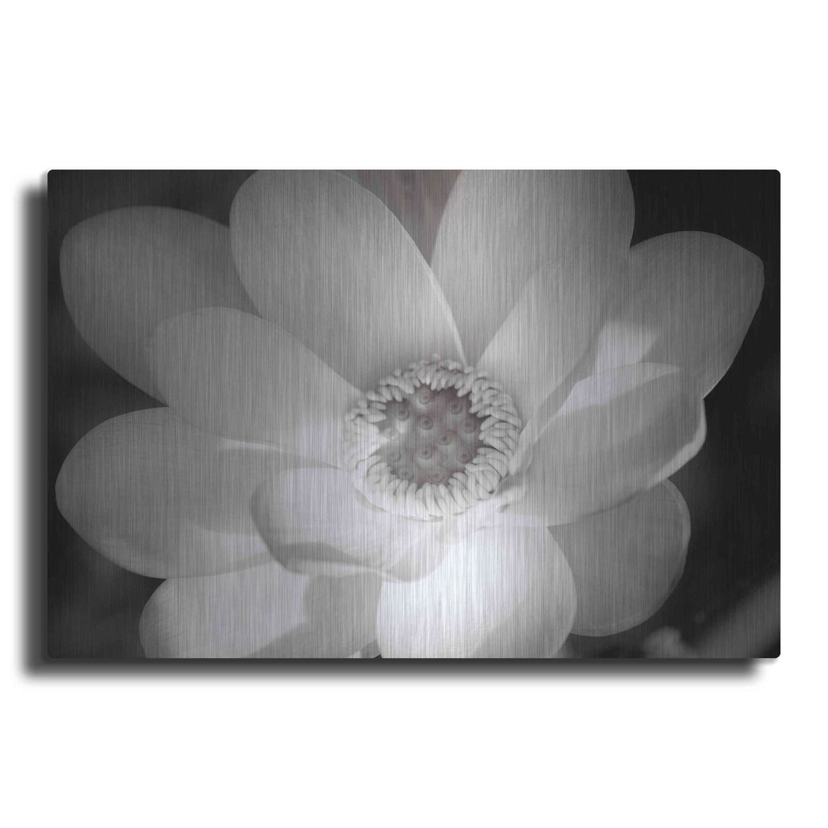 'Lotus Flower V' by Debra Van Swearingen – Metal Wall Art