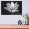 'Lotus Flower I v2' by Debra Van Swearingen – Metal Wall Art, 16x12 room view