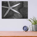 'Explore' by Debra Van Swearingen – Metal Wall Art, 16x12 room view