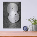 'Dream' by Debra Van Swearingen – Metal Wall Art, 12x16 room view