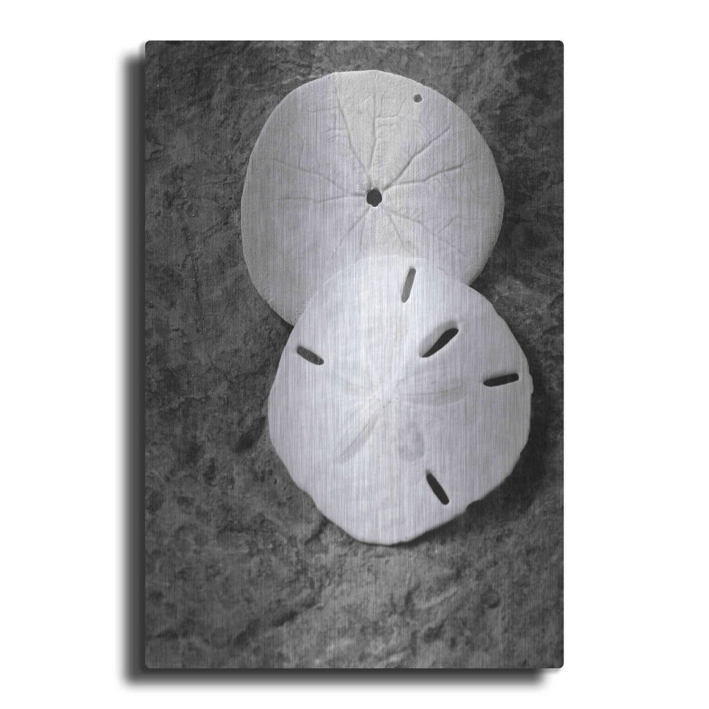 'Dream' by Debra Van Swearingen – Metal Wall Art
