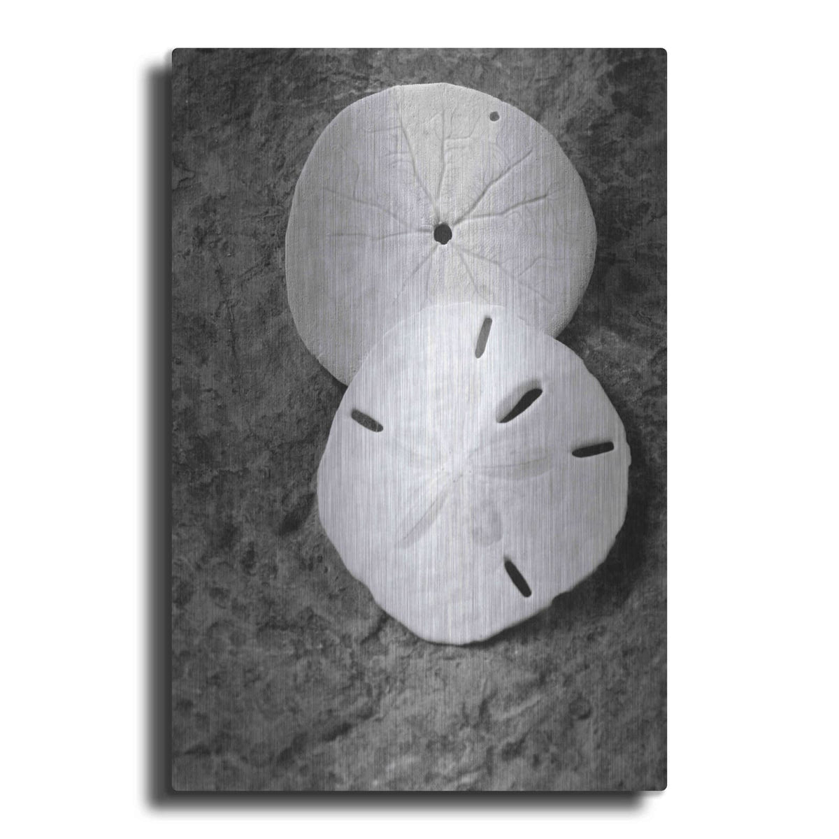 'Dream' by Debra Van Swearingen – Metal Wall Art
