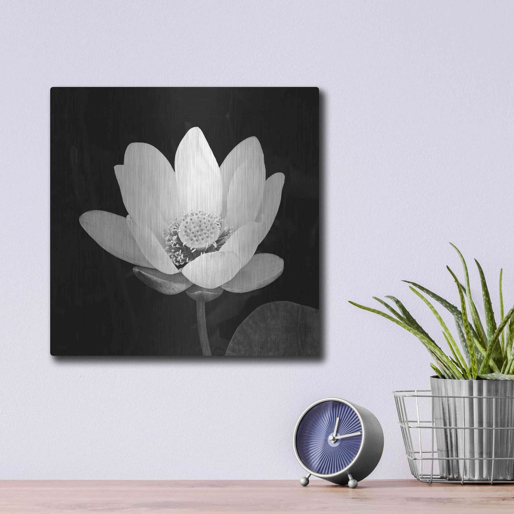 'Lotus Flower I' by Debra Van Swearingen – Metal Wall Art, 12x12 room view