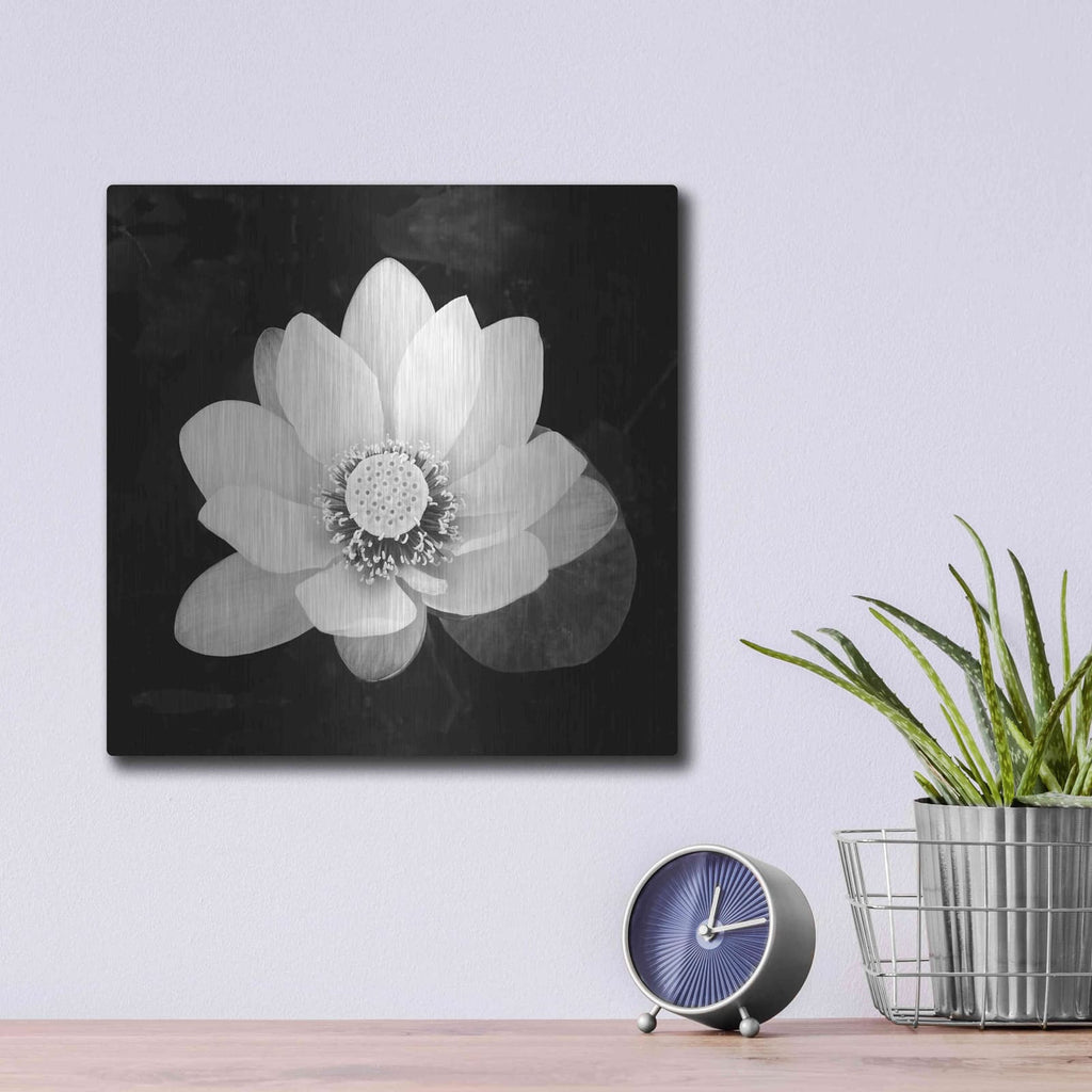 'Lotus Flower II' by Debra Van Swearingen – Metal Wall Art, 12x12 room view