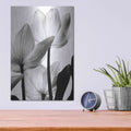 'Translucent Tulips III' by Debra Van Swearingen – Metal Wall Art, 12x16 room view
