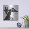 'Giraffe II' by Debra Van Swearingen – Metal Wall Art, 12x12 room view
