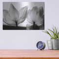 'Translucent Tulips V' by Debra Van Swearingen – Metal Wall Art, 16x12 room view