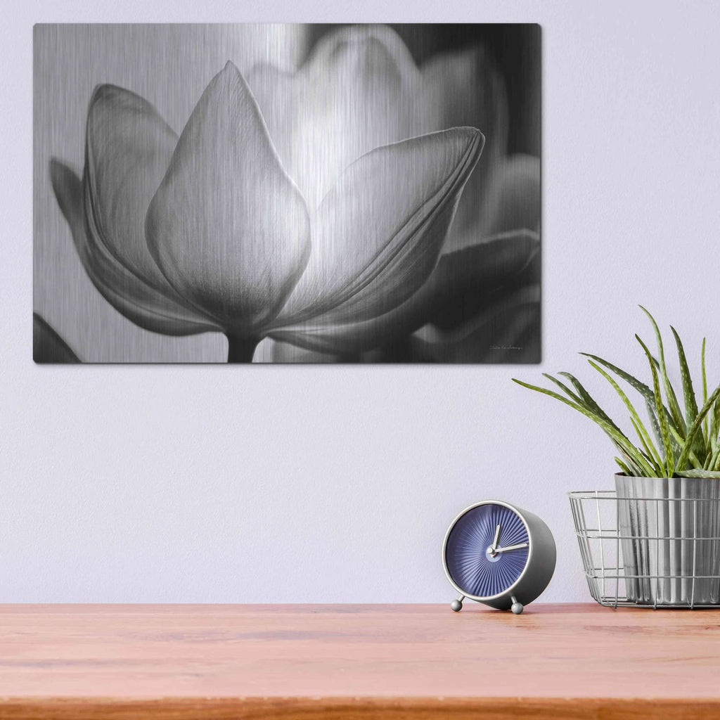 'Translucent Tulips VI' by Debra Van Swearingen – Metal Wall Art, 16x12 room view