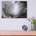 'Translucent Tulips VI' by Debra Van Swearingen – Metal Wall Art, 16x12 room view