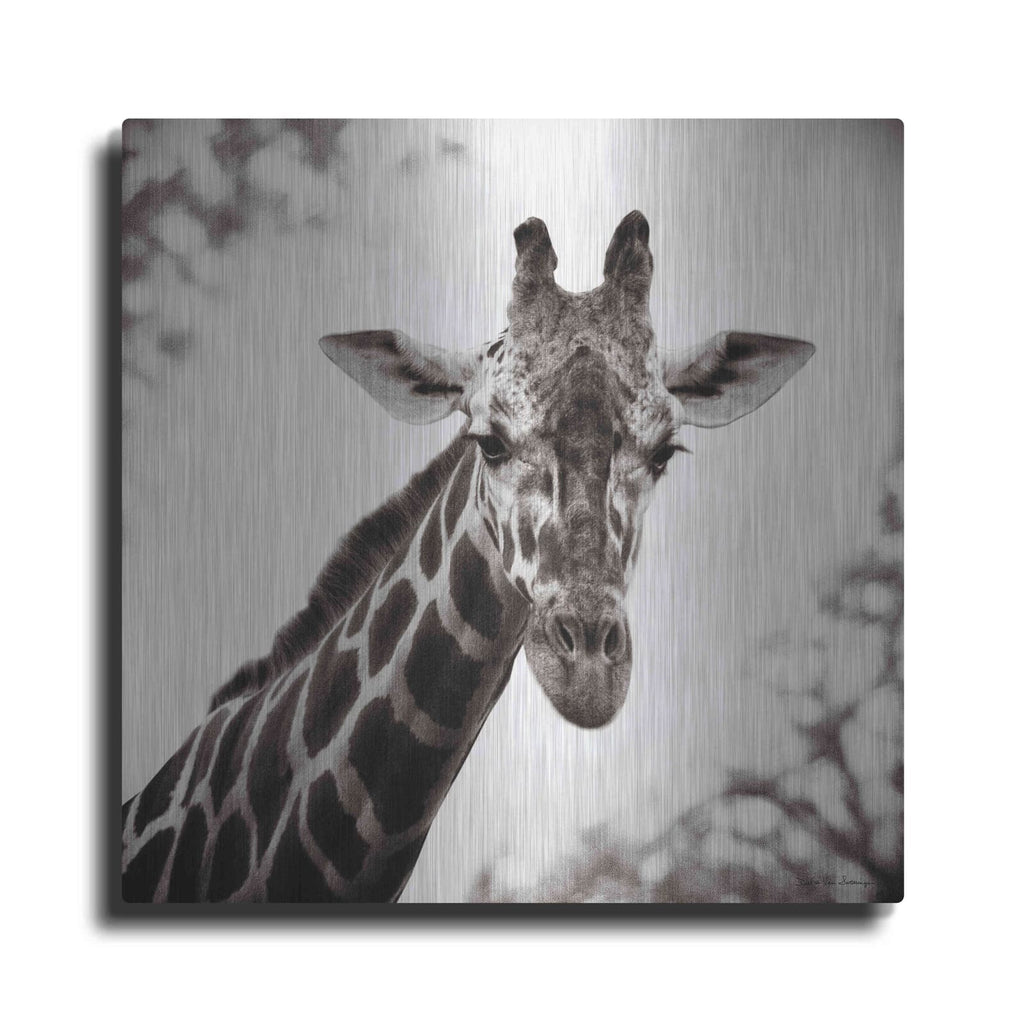 'Giraffe I' by Debra Van Swearingen – Metal Wall Art