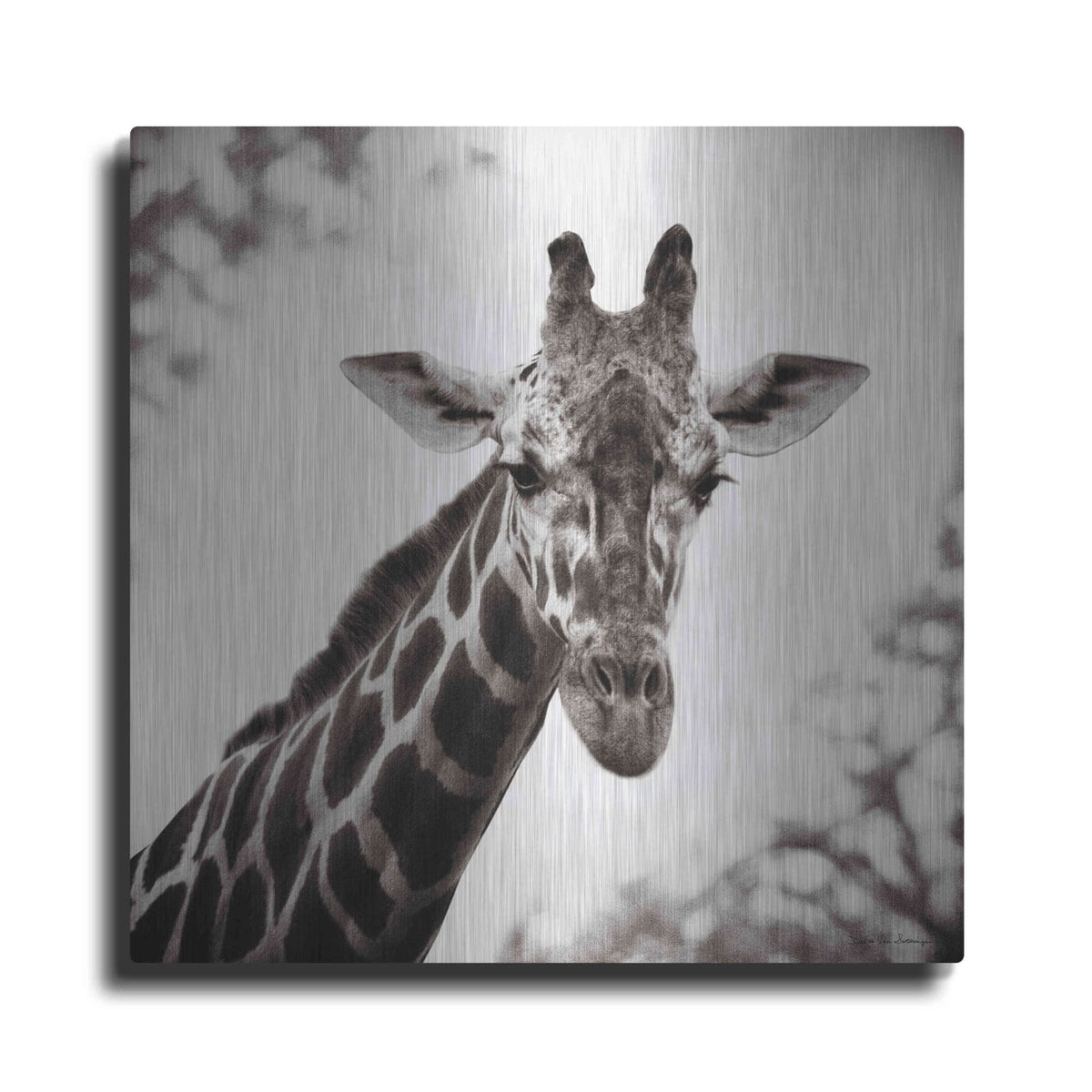'Giraffe I' by Debra Van Swearingen – Metal Wall Art