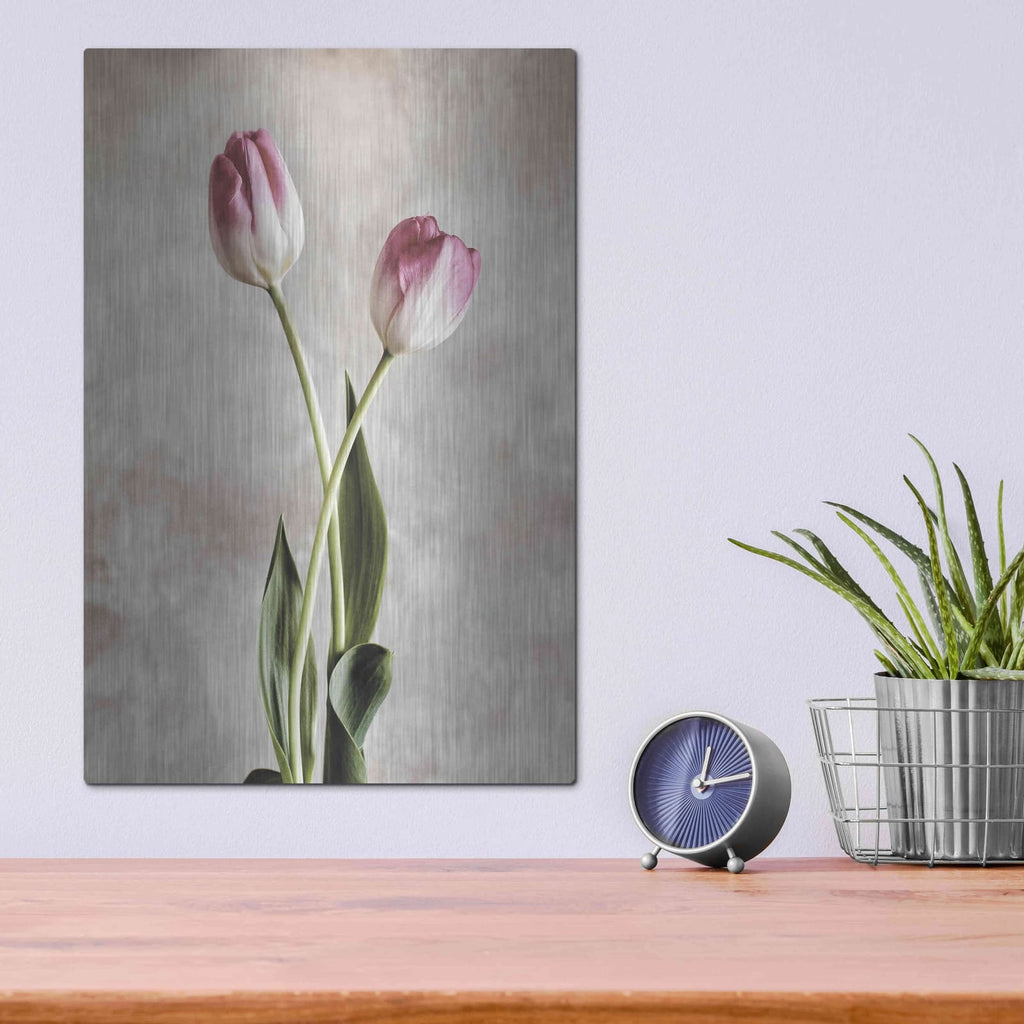'Fresh Tulips IV' by Debra Van Swearingen – Metal Wall Art, 12x16 room view