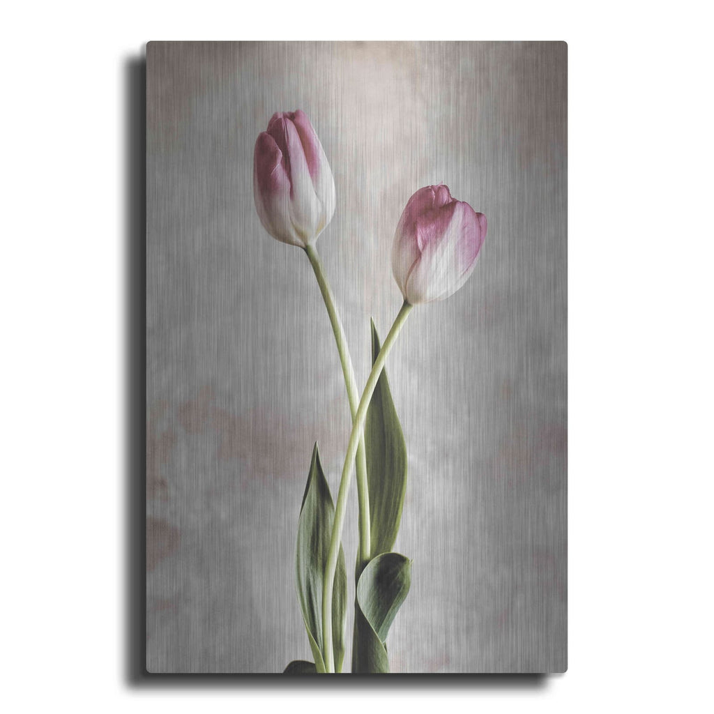 'Fresh Tulips IV' by Debra Van Swearingen – Metal Wall Art