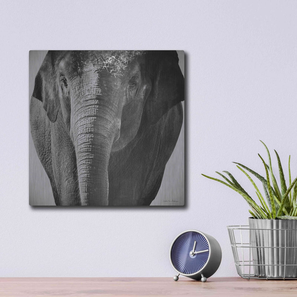 'Elephant I' by Debra Van Swearingen – Metal Wall Art, 12x12 room view
