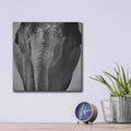 'Elephant I' by Debra Van Swearingen – Metal Wall Art, 12x12 room view