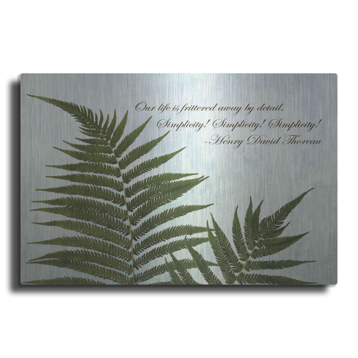 'Delicate Fern' by Debra Van Swearingen – Metal Wall Art
