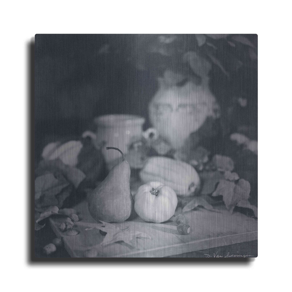 'Quince Pear' by Debra Van Swearingen – Metal Wall Art