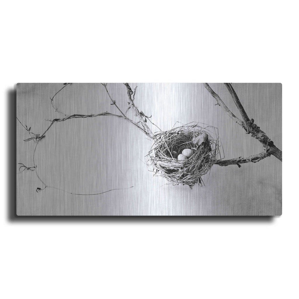 'Nest and Branch III' by Debra Van Swearingen – Metal Wall Art