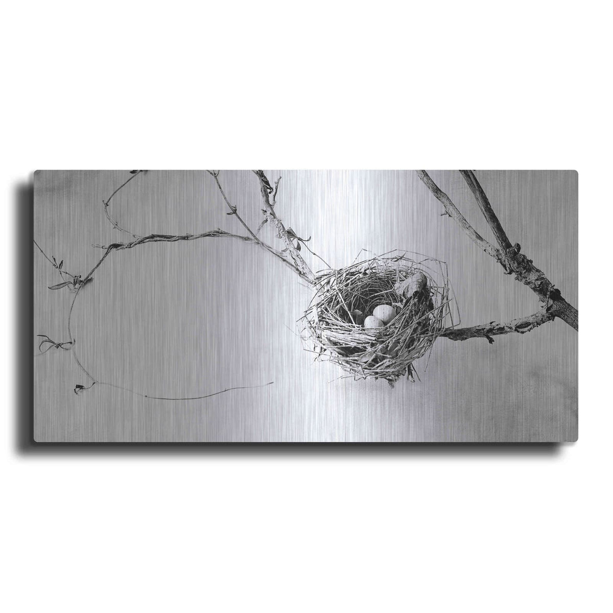 'Nest and Branch III' by Debra Van Swearingen – Metal Wall Art
