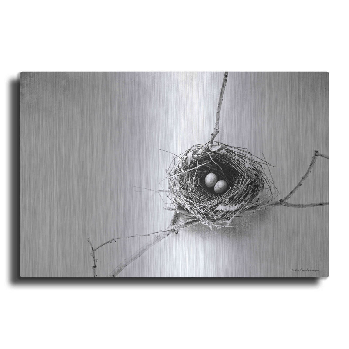 'Nest and Branch IV' by Debra Van Swearingen – Metal Wall Art
