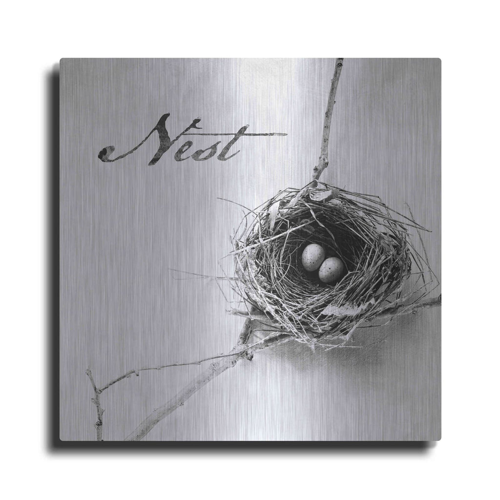 'Nest and Branch IV - Nest B&W' by Debra Van Swearingen – Metal Wall Art