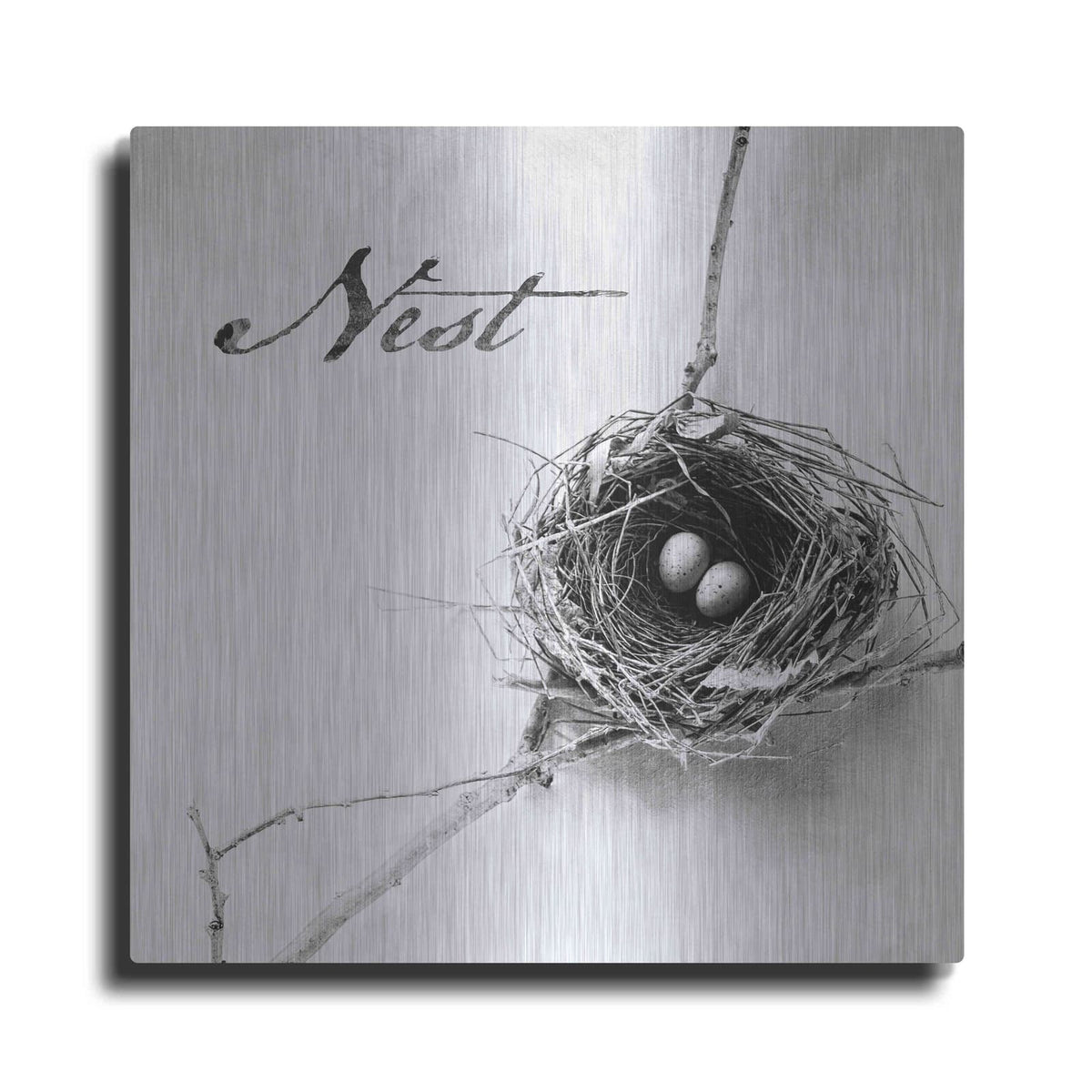 'Nest and Branch IV - Nest B&W' by Debra Van Swearingen – Metal Wall Art