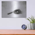 'Nestled IV' by Debra Van Swearingen – Metal Wall Art, 16x12 room view