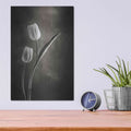 'Two Tone Tulips IV' by Debra Van Swearingen – Metal Wall Art, 12x16 room view