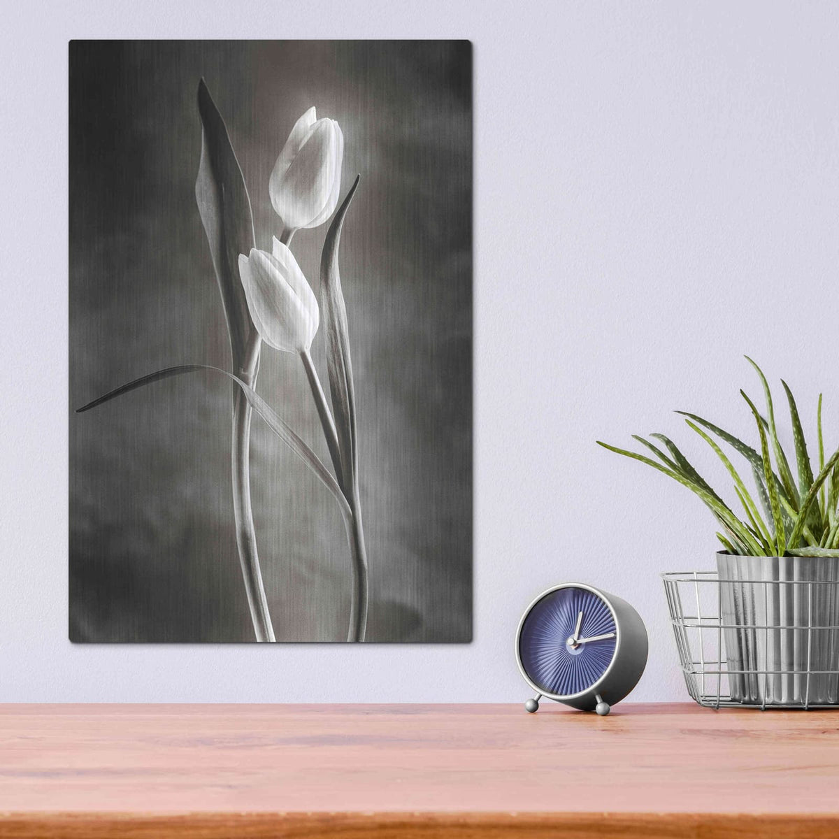 'Two Tone Tulips VI' by Debra Van Swearingen – Metal Wall Art, 12x16 room view