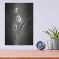 'Two Tone Tulips VIII' by Debra Van Swearingen – Metal Wall Art, 12x16 room view