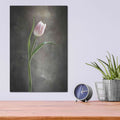 'Spring Tulips I' by Debra Van Swearingen – Metal Wall Art, 12x16 room view