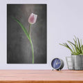 'Spring Tulips II' by Debra Van Swearingen – Metal Wall Art, 12x16 room view