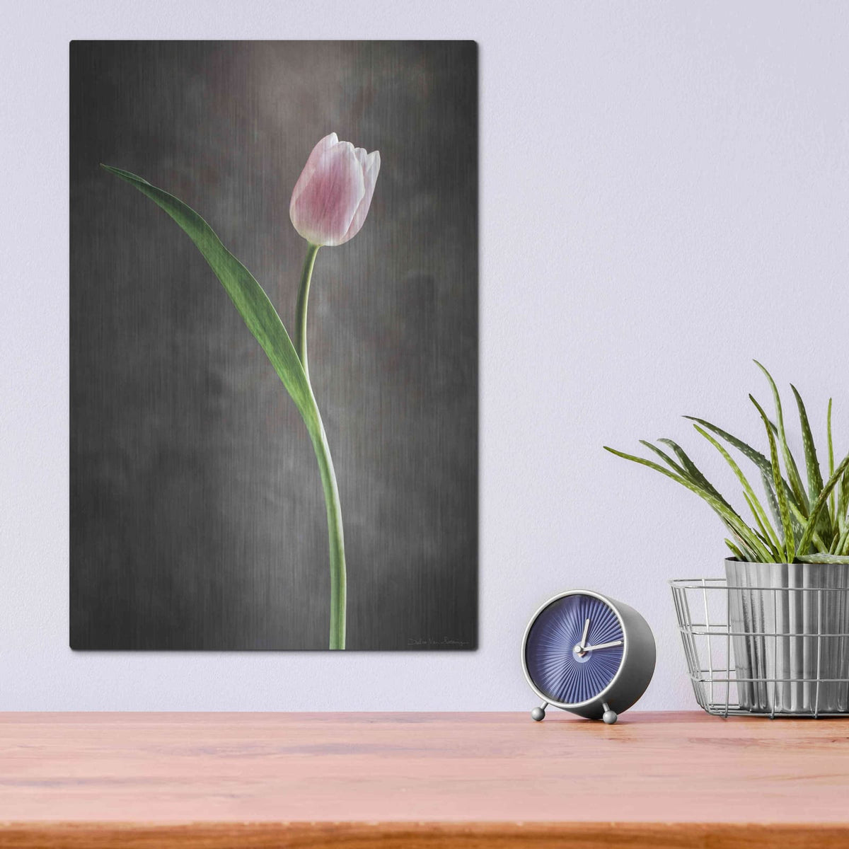 'Spring Tulips II' by Debra Van Swearingen – Metal Wall Art, 12x16 room view