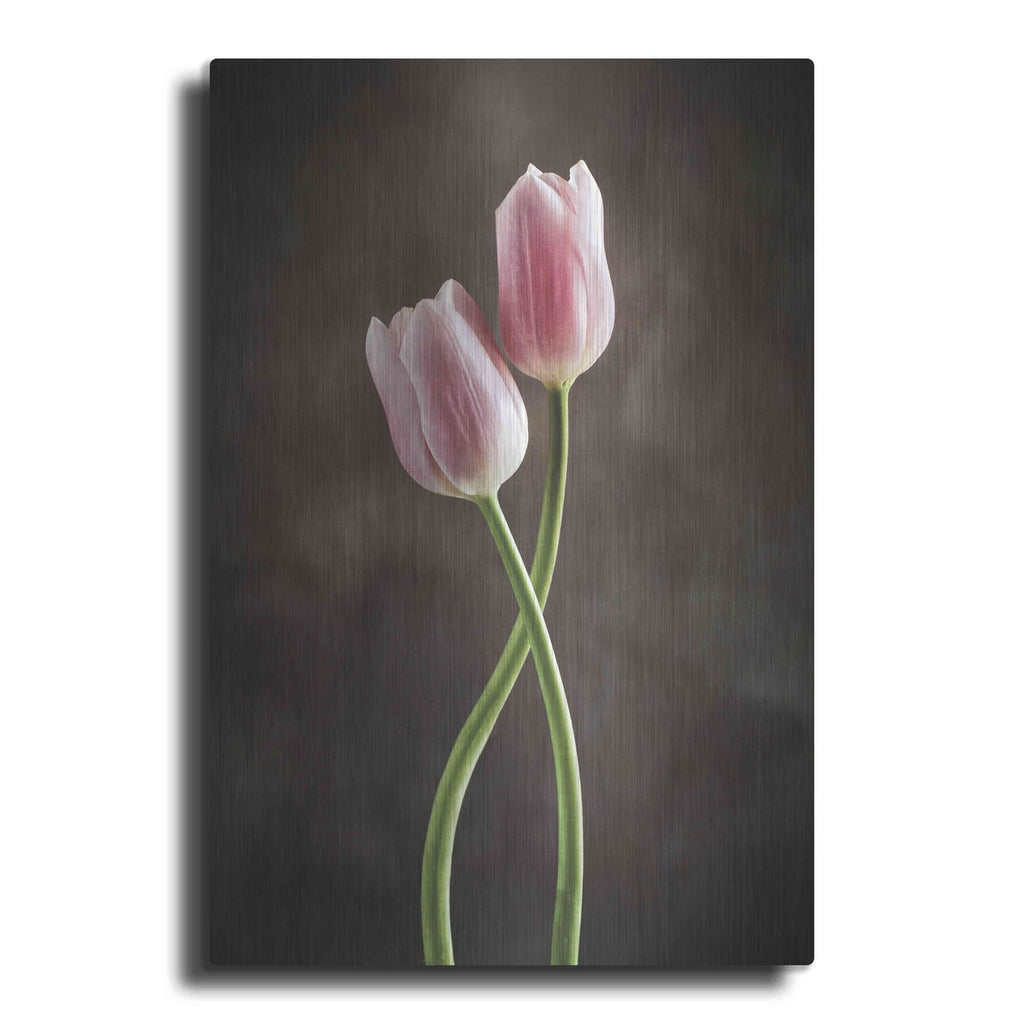 'Spring Tulips V' by Debra Van Swearingen – Metal Wall Art