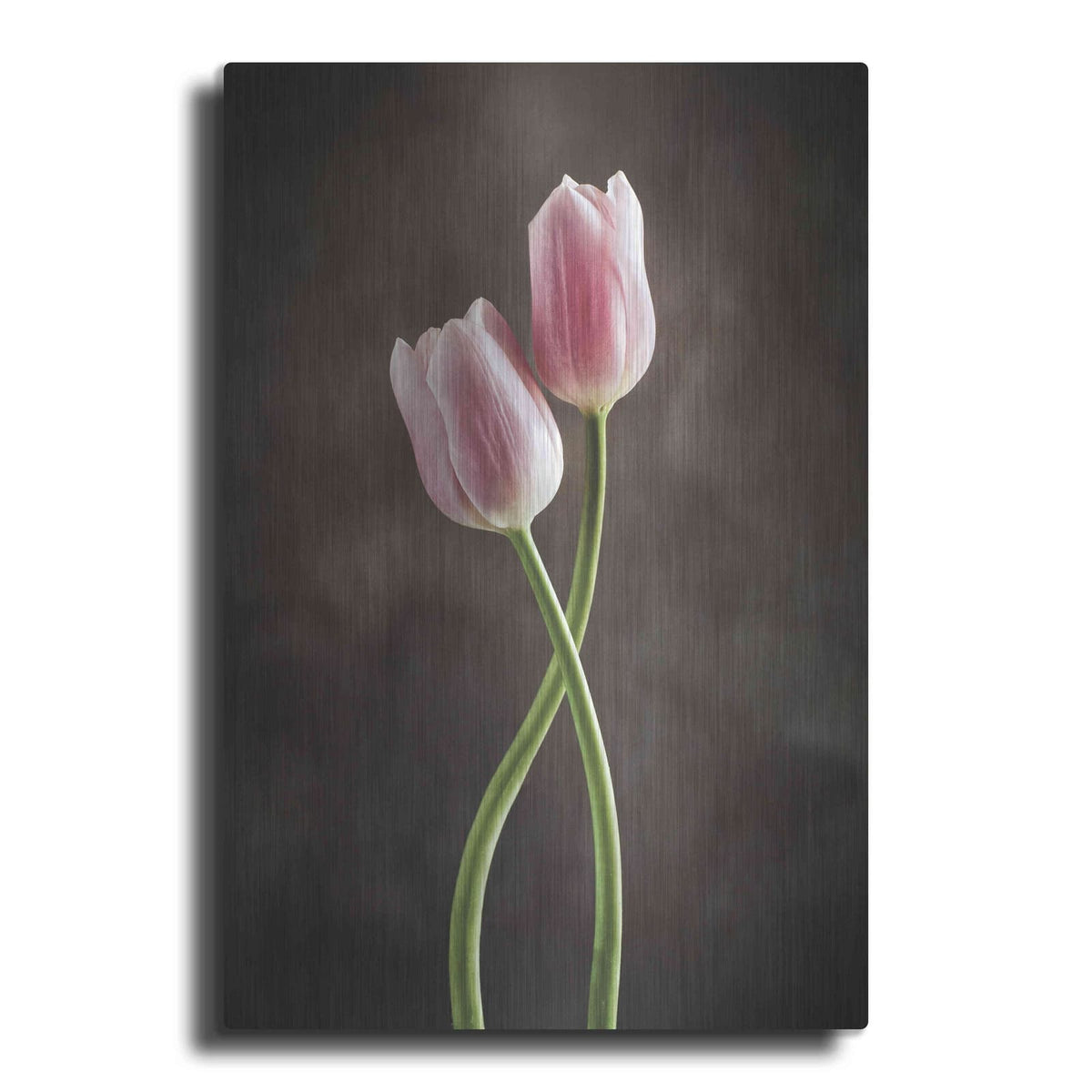 'Spring Tulips V' by Debra Van Swearingen – Metal Wall Art