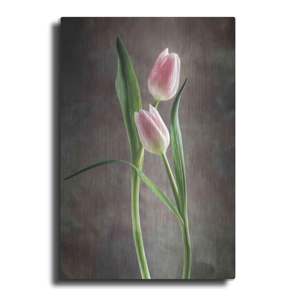 'Spring Tulips VI' by Debra Van Swearingen – Metal Wall Art