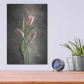 'Spring Tulips VII' by Debra Van Swearingen – Metal Wall Art, 12x16 room view