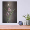 'Spring Tulips VIII' by Debra Van Swearingen – Metal Wall Art, 12x16 room view