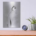 'Soft Tulips I' by Debra Van Swearingen – Metal Wall Art, 12x16 room view
